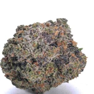 Master Kush